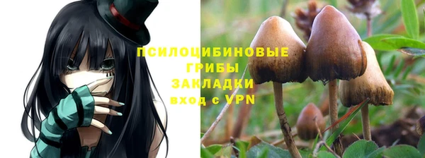 бошки Зеленодольск