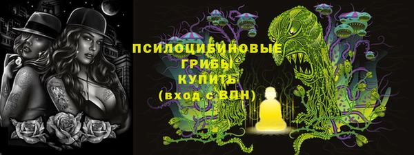 бошки Зеленодольск