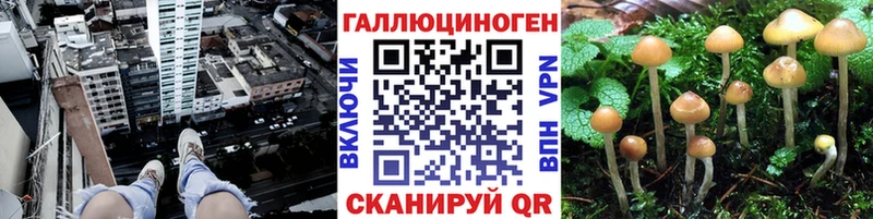 Галлюциногенные грибы прущие грибы  Купить  Нягань 